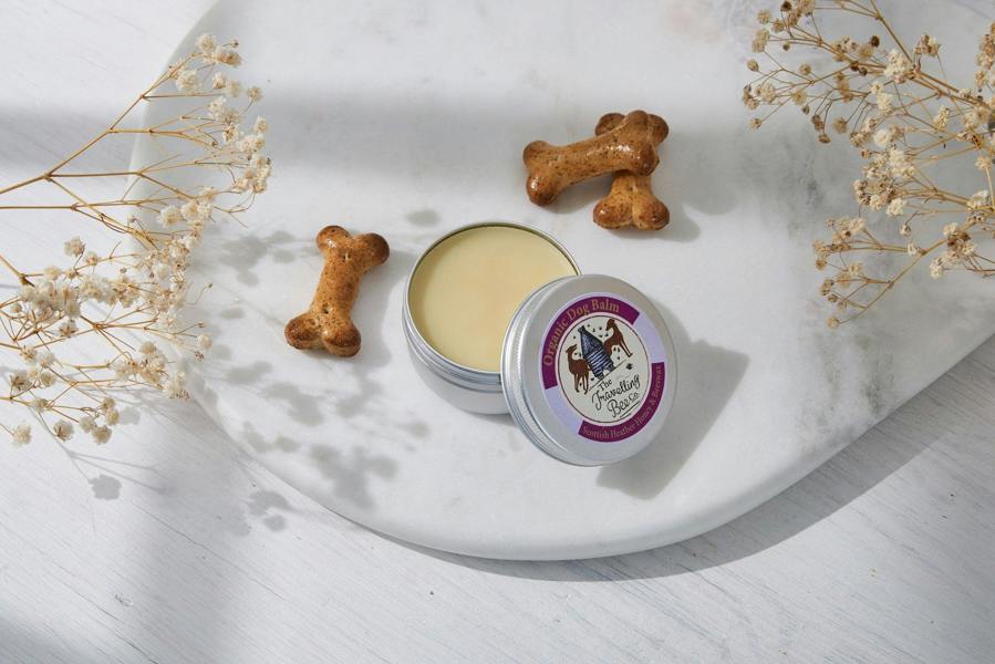 The Travelling Bee Co. Organic Dog Balm with Scottish Heather Honey & Beeswax