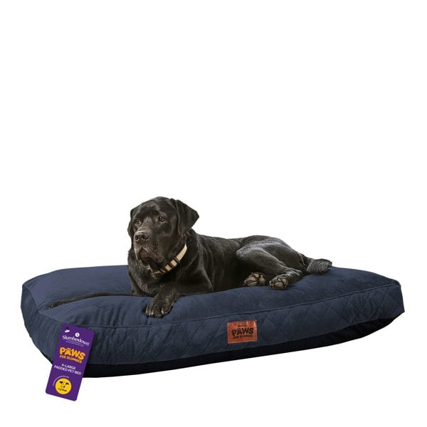 Paws for Slumber Padded Pet Bed, Blue, Extra Large