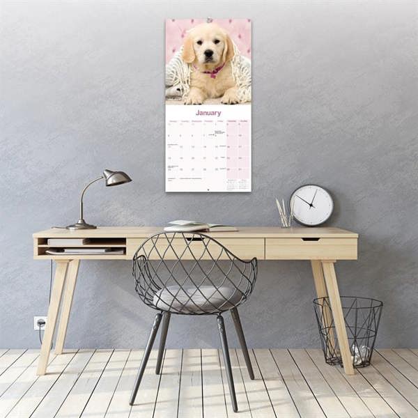 Golden Retriever Calendar 2027, Wall Calendars, Month To View, Dogs, Gift