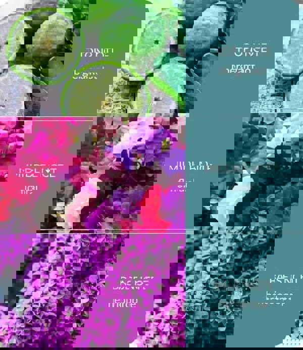 Heart & Home Sweet Pea - Fragrance Diffuser