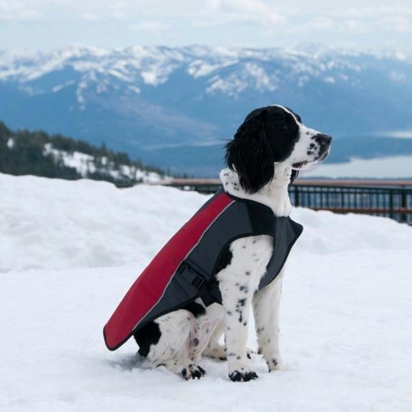 EzyDog Element Jacket in Red