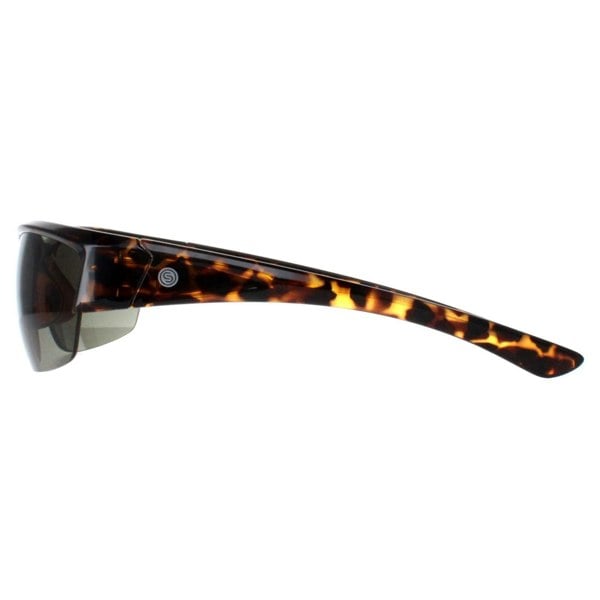 Smarty Sunglasses X2036 C Demi Brown Tortoise Green
