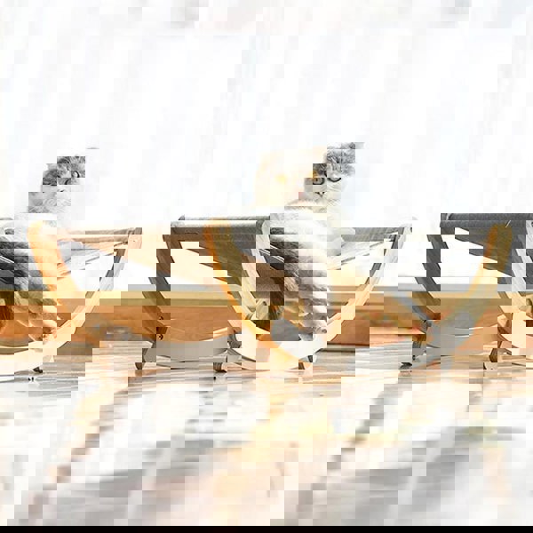 AO21 Pet Furniture-Weilai Concept-Weilai Concept