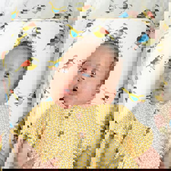 Giggle Trail 3 in 1 i-Size Everything Bundle Birdland - Bundle - Cosatto Store