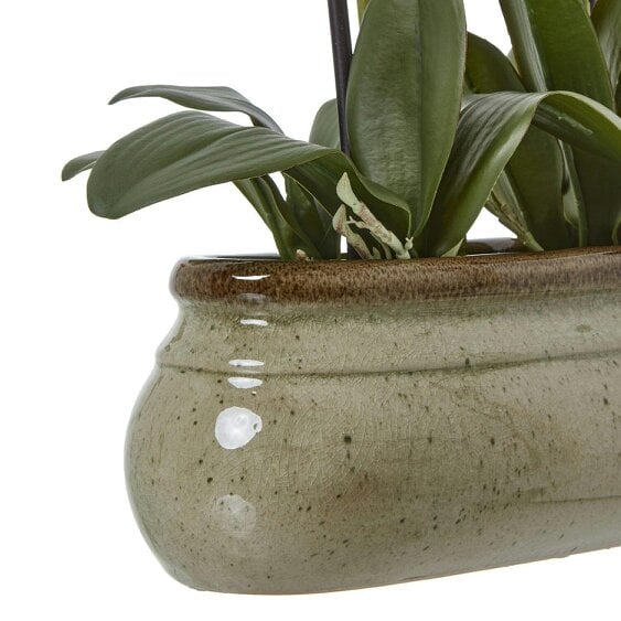 Wyld Haus Artificial Plant Large Green Orchid In Ceramic Pot