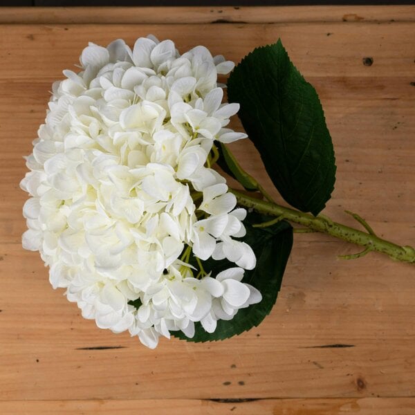 Wyld Haus Set of 3 Artificial Flowers Oversized White Hydrangea Stems
