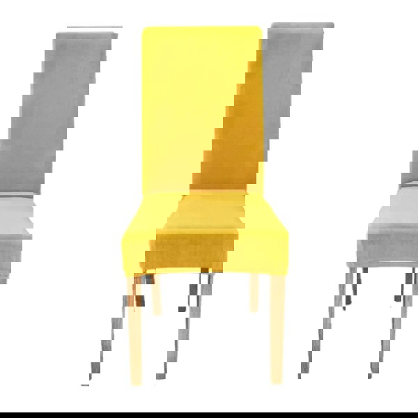 Anyseat Chair Cover Turmeric Velvet Plush Stretch Elastic Slipcover