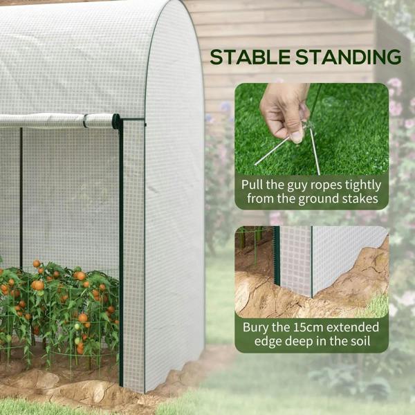 White walk-in greenhouse with green frame, arched end and guy ropes for stability
