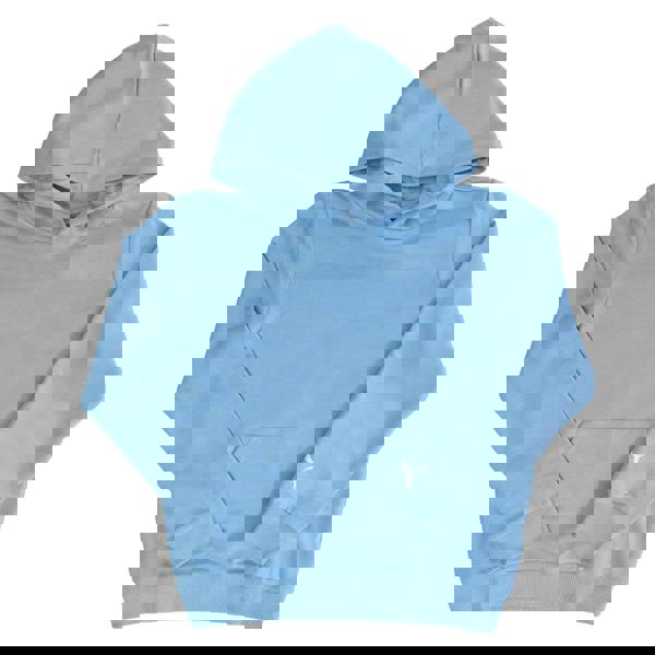 Puma Childrens/Kids Fanwear Hoodie - Blue - 