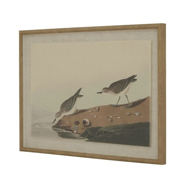 Hill Interiors Flora & Fauna Collection Picture Beaded Linen Framed Wall Art - Brown/White/Blue