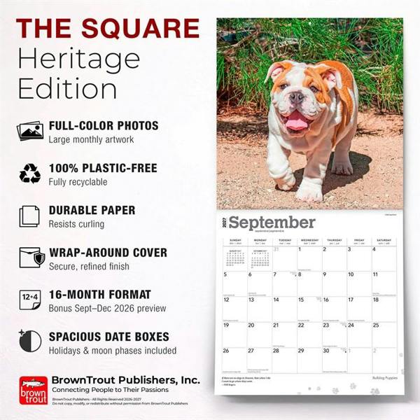 Bulldog Puppies Calendar 2027, Wall Calendars, Month To View, Dogs, Gift