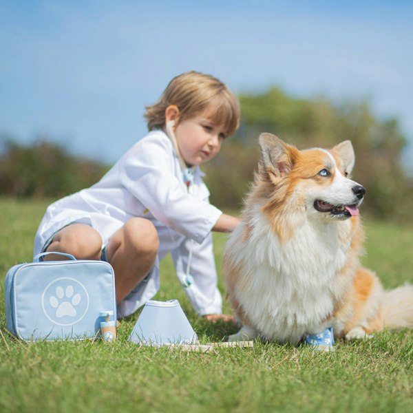 Bigjigs Toys Wooden Veterinary Set - Includes A Carry Case And 12 Play Pieces