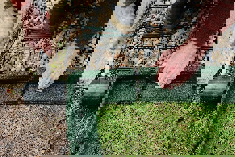 lawn-edge-border ideas