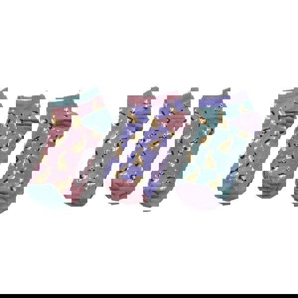 Heritage Traditions Heritage 3 Pack Trainer Socks