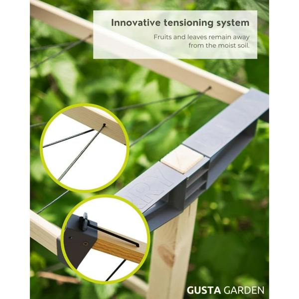 BERRY BUDDY climbing solution for berries
