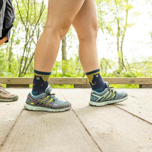 Darn Tough 3 Pair Multipack Womens Bear Town Merino Hiking Socks Cool Pack
