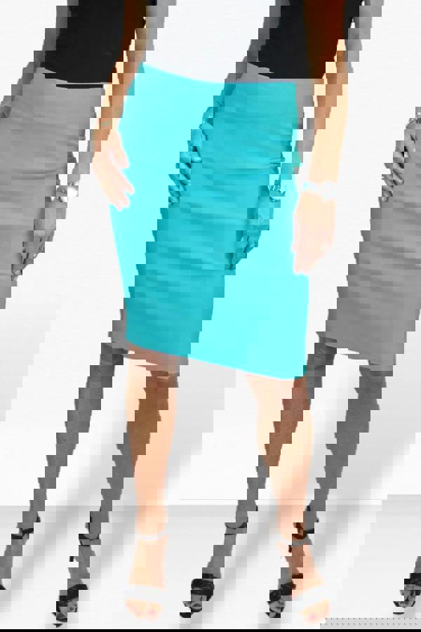 Paulo Due Women's Stretch Bodycon Pencil Skirt 22"