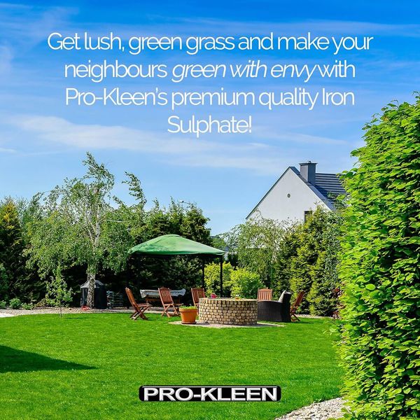 ProKleen Pro-Kleen Iron Sulphate 1 KG PREMIUM Ferrous Pure Lawn Tonic- Lawn Conditioner and Turf Hardener. Damp Grade