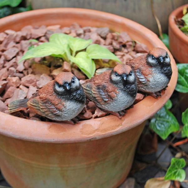 Farmwood Set of 3 Pot Topping Sparrow Bird Garden Ornaments