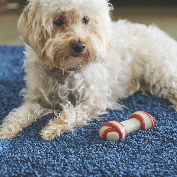 The Rugs Quality Tufted Washable Rug - Stylish Plain Design