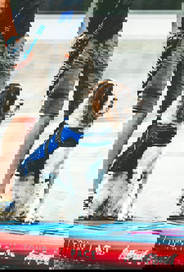 Aquaplanet PUP SUP Pet Buoyancy Aid