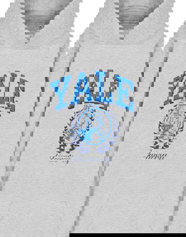 Yale Unisex Grey Dog Hoodie