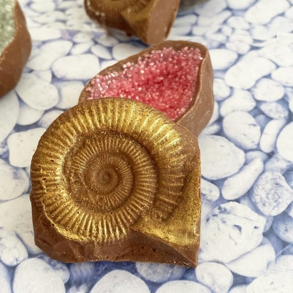 CHOC ON CHOC Chocolate Fossils And Amethyst