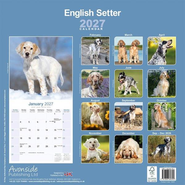 English Setter Calendar 2027, Wall Calendars, Month To View, Dogs, Gift