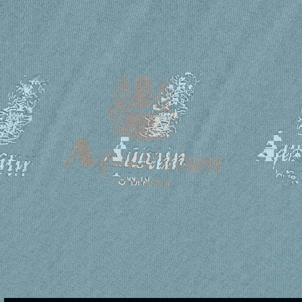 Aquascutum ACTIVE SMALL LOGO HOODIE FW23 SW002 18 Blue Hoodie Mens S