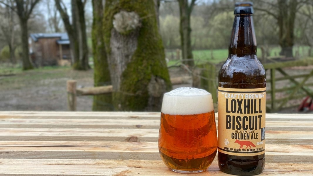 Craft Brewing Loxhill Biscuit - Gluten Free Golden Ale