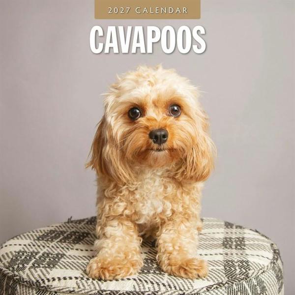 Cavapoos Calendar 2027, Wall Calendars, Month To View, Dogs, Gift