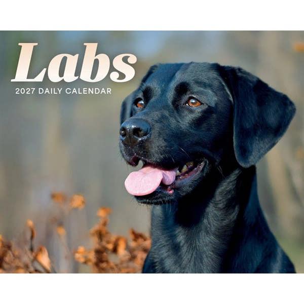 Labrador Retrievers Desk Calendar 2027, Desk Calendars, Day To View, Dogs, Gift