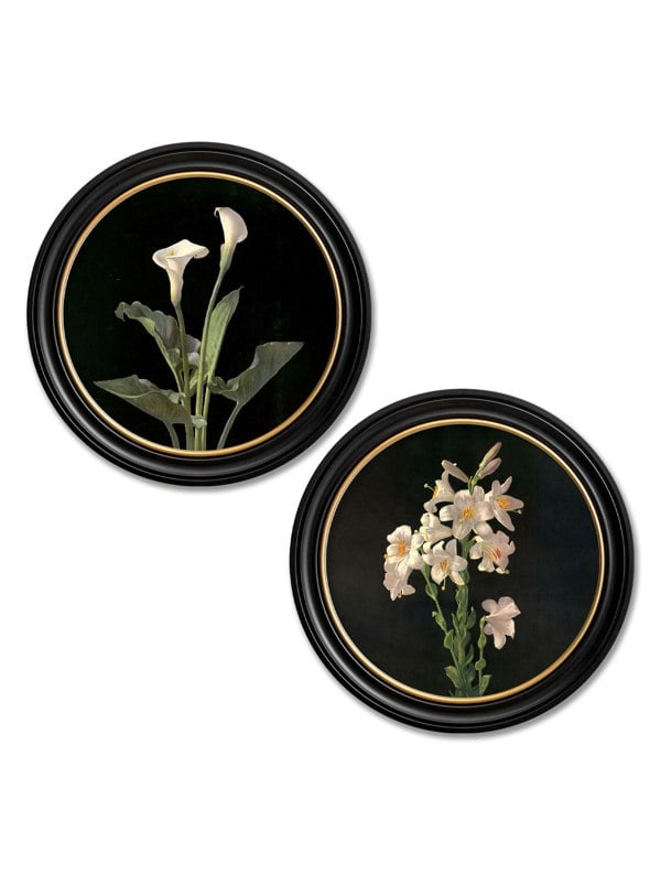 Exceptional Art c.1874 George Cochran Lambdin Lillys - Round Frame