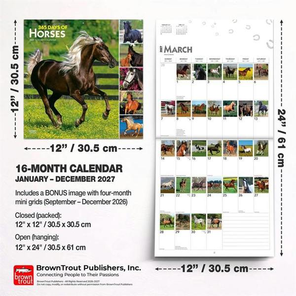 365 Days Of Horses Calendar 2027, Wall Calendars, Month To View, Animals, Gift