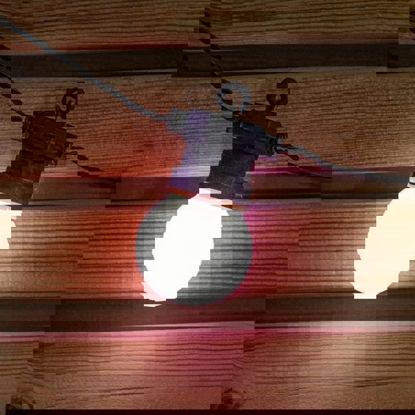 Samuel Alexander Set of 10 Indoor Outdoor Connectable Party Festoon Lights with Multi-Coloured LEDs