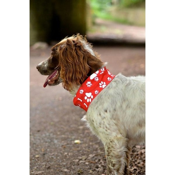 RUFFNEK® Reflective Dog Scarf Snood (Red) – keep your pet safe and visible during UK walks. #ReflectiveDogGear #UKPetAccessories #DogSafety #DogSnood #DogBandana