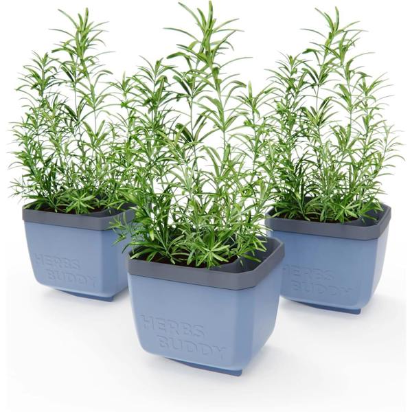 HERBS BUDDY herb pot with water reservoir - Blue