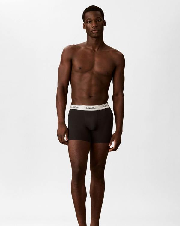 Calvin Klein 3 Pack Icon Cotton Stretch Mens Boxer Briefs - Black/Silver Haze