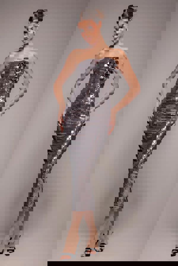 Liquid Sequin Boobtube Midaxi With Corsage - Silver DR4126