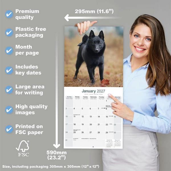 Schipperke Calendar 2027, Wall Calendars, Month To View, Dogs, Gift