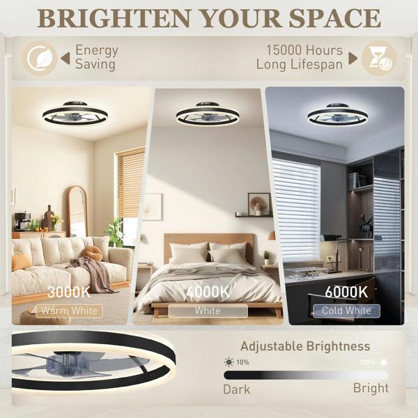 Ceiling Fan With Light