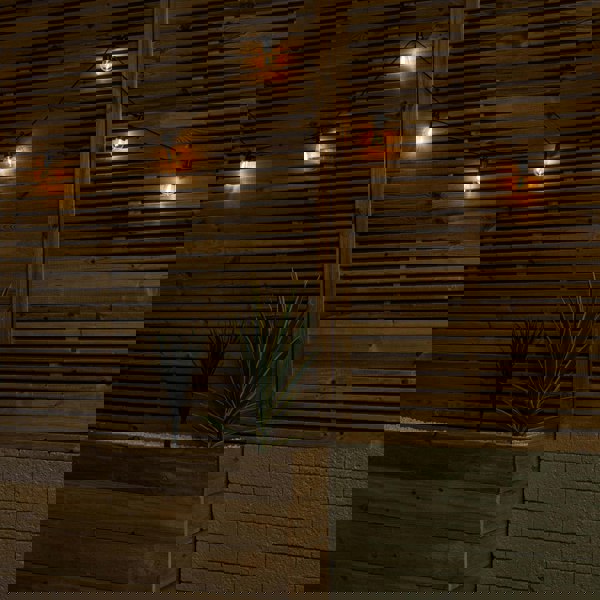 Samuel Alexander Set of 20 Indoor Outdoor Connectable Vintage Festoon Lights with Warm White LEDs