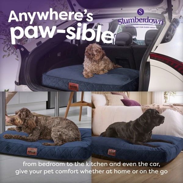 Paws for Slumber Padded Pet Bed, Blue, Extra Large