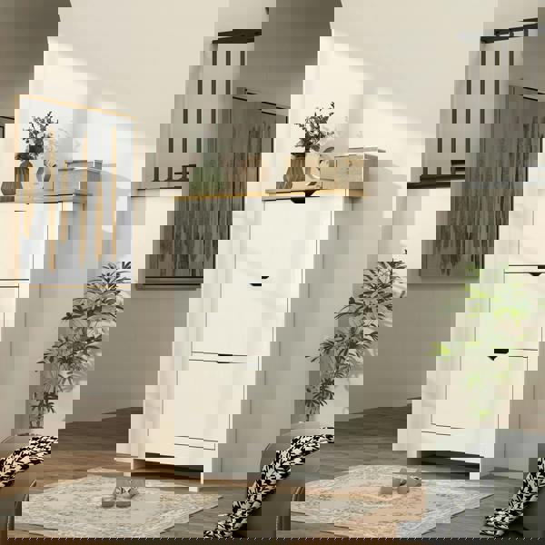 Flip-down Shoe Cabinet