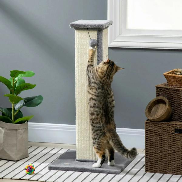 Grey vertical cat scratcher post with hanging ball and sisal-wrapped column; cat scratching
