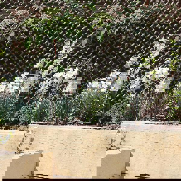 Luxform Pack Of 2 Rennes Solar light