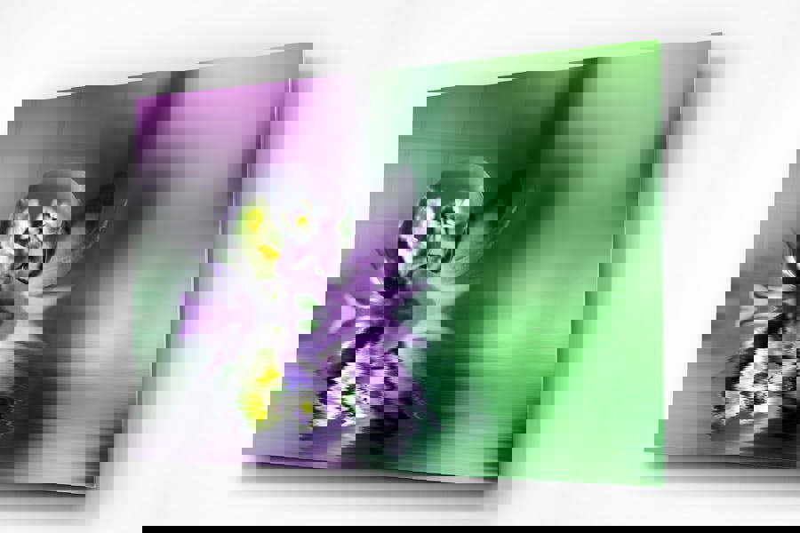 water droplet macro photography print