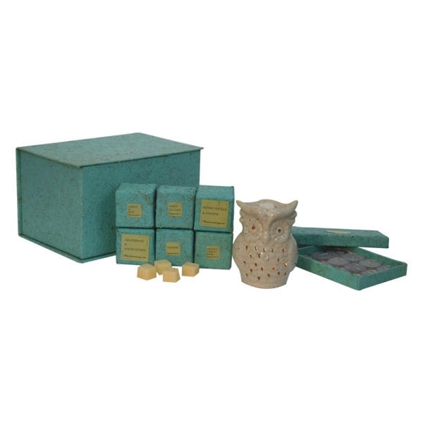 Artisan Furniture Owl Wax Melter Set (Fruit)