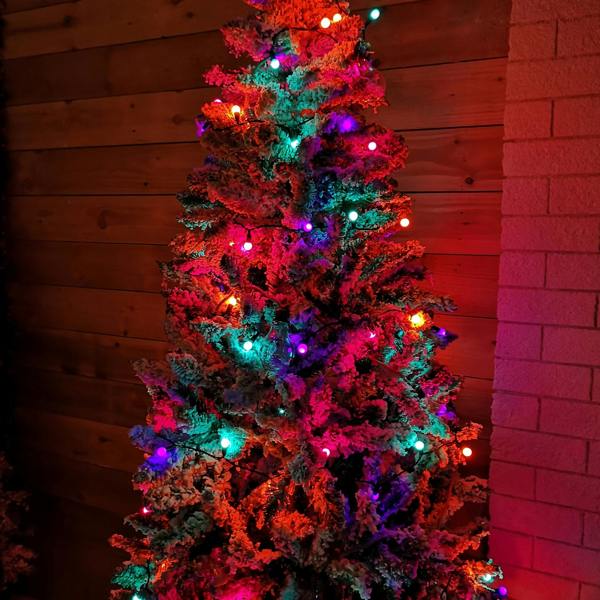Samuel Alexander 50 LED Pearl Berry Multi-Action Christmas String Lights in Rainbow