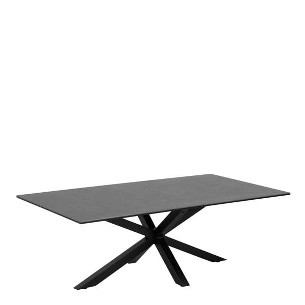 Wyld Haus Perth Black Ceramic Rectangular Coffee Table